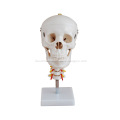 /msite/products/detail/productid/57018162/id/666382.html